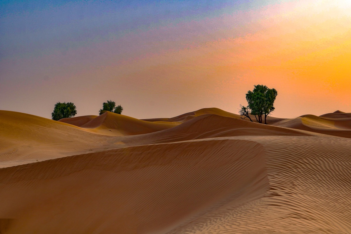 dubai desert safari sunset