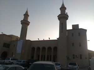 ages of pilgrims visiting the grand mosque in Riyadh