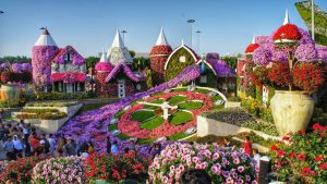 Dubai Miracle Garden Image