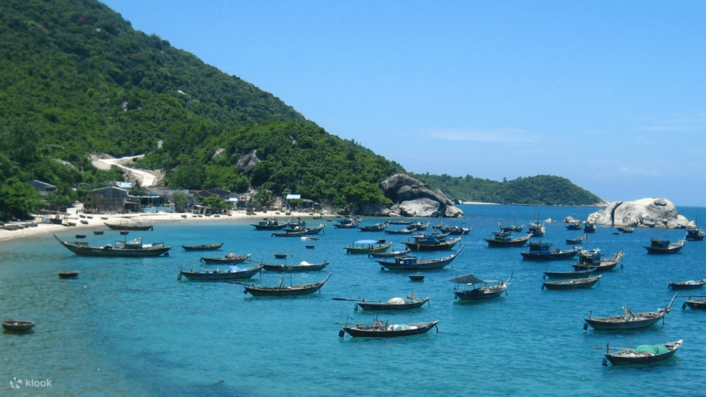 Tourists enjoying and discovering the marine life on their Cham Islands One Day Tour