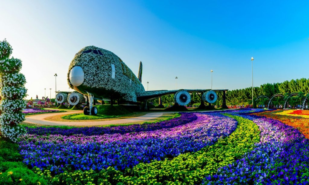 Blossoming beauty at every turn! Explore the vibrant tapestry of colours at Dubai Miracle Garden, where nature's miracles bloom in breathtaking arrangements. A floral paradise like no other awaits your admiration!